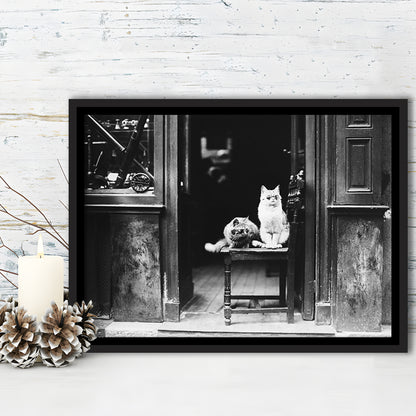 Cute Cats Wearing Sunglasses Funny Vintage Animal Photo Black and White Art, Floating Framed Canvas Print
