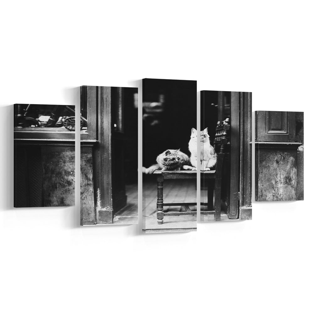Cute Cats Wearing Sunglasses Funny Vintage Animal Photo Black and White Art, Mixed 5 Pieces Canvas Print