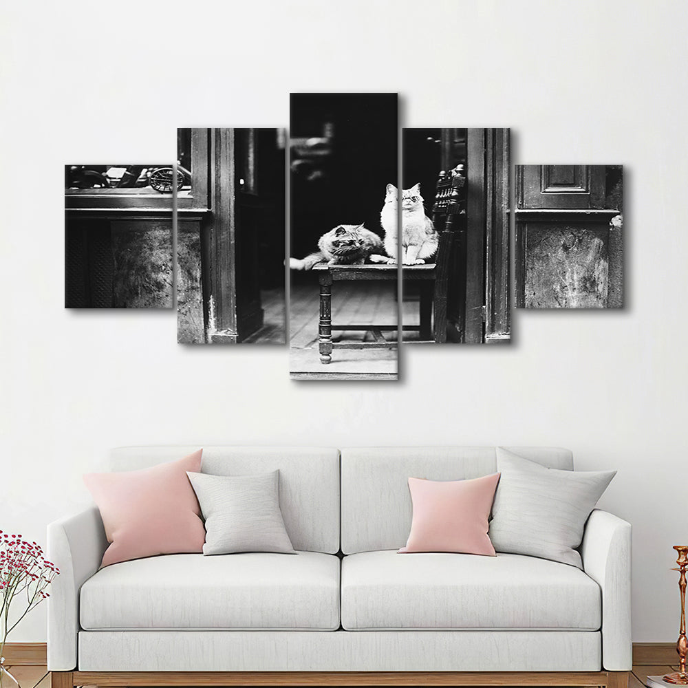 Cute Cats Wearing Sunglasses Funny Vintage Animal Photo Black and White Art, Mixed 5 Pieces Canvas Print