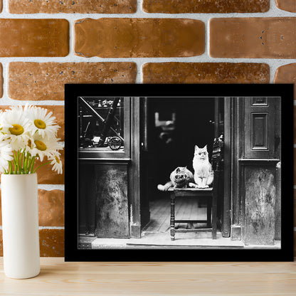 Cute Cats Wearing Sunglasses Funny Vintage Animal Photo Black and White Art, Framed Art Print Wall Decor