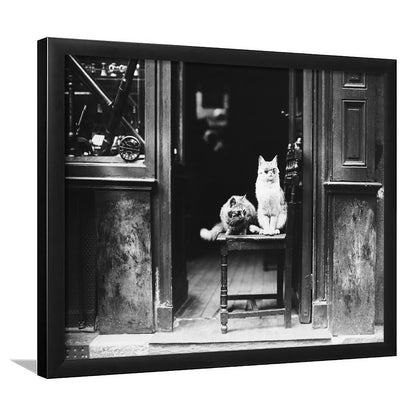Cute Cats Wearing Sunglasses Funny Vintage Animal Photo Black and White Art, Framed Art Print Wall Decor