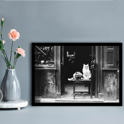 Cute Cats Wearing Sunglasses Funny Vintage Animal Photo Black and White Art, Framed Art Print Wall Decor