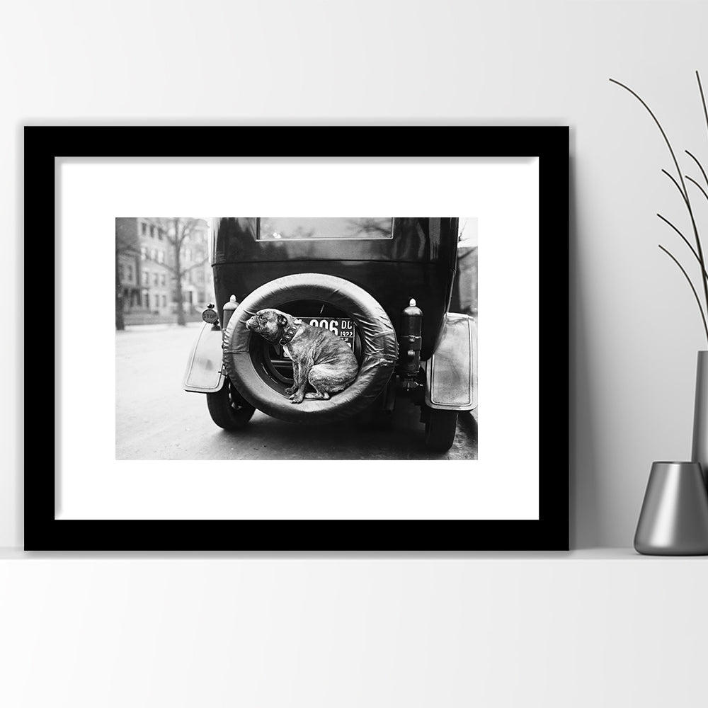 Cute Dog Print Black and White Art Vintage Animal Photo, Framed Art Print White Border Wall Decor