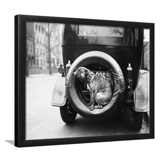 Cute Dog Print Black and White Art Vintage Animal Photo, Framed Art Print Wall Decor