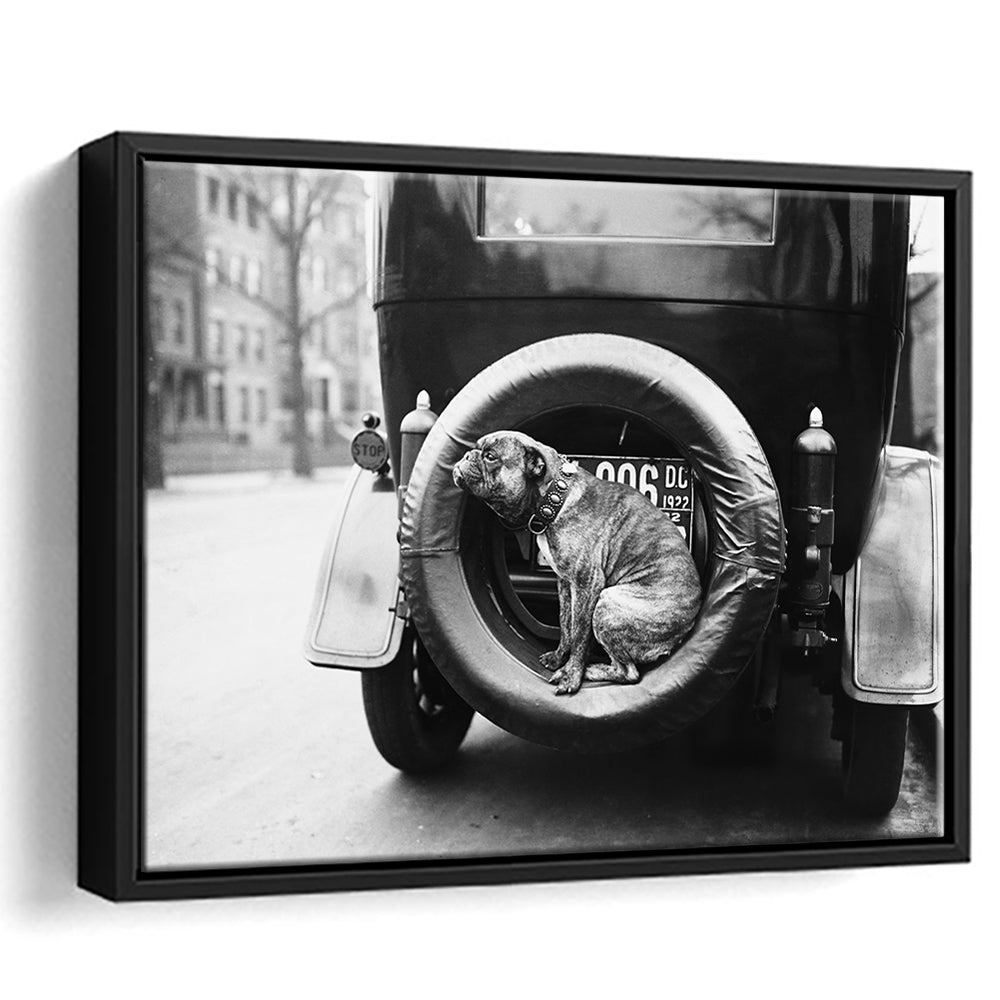 Cute Dog Print Black and White Art Vintage Animal Photo, Floating Framed Canvas Print