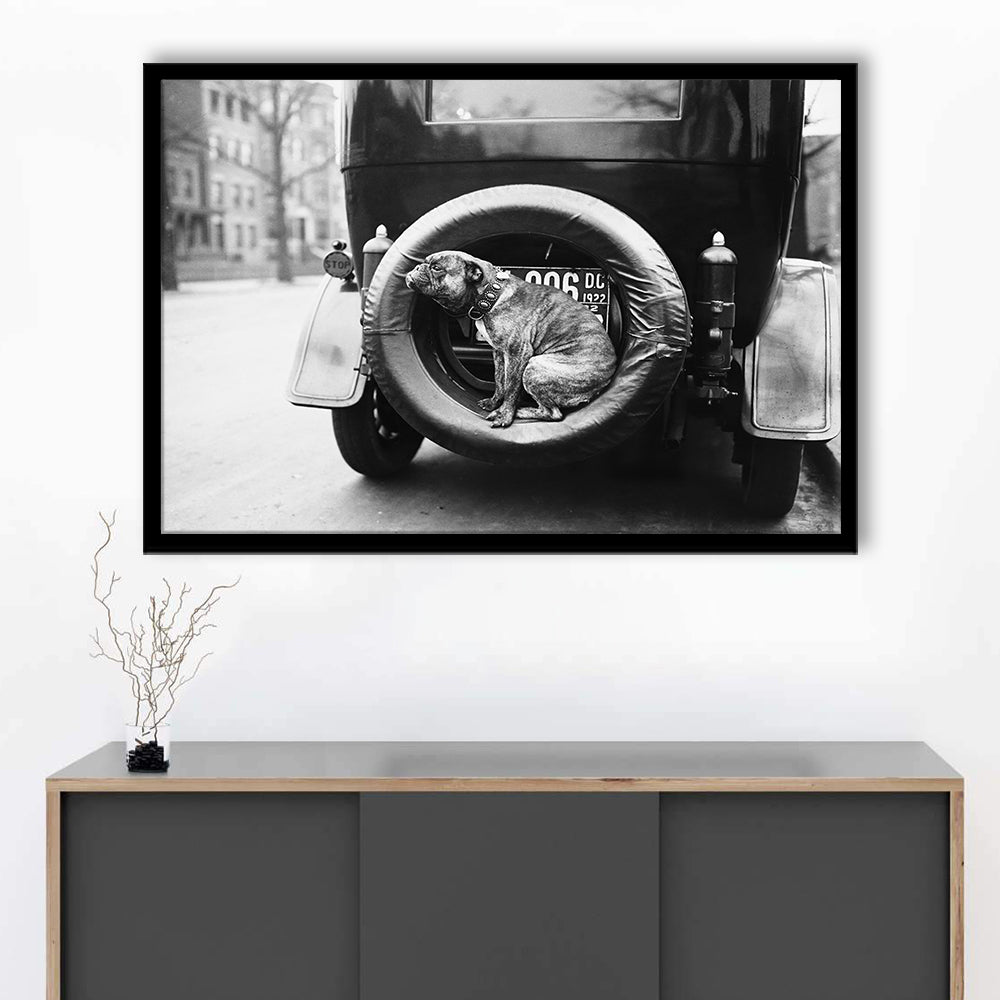 Cute Dog Print Black and White Art Vintage Animal Photo, Framed Art Print Wall Decor