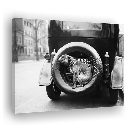 Cute Dog Print Black and White Art Vintage Animal Photo, Canvas Print Wall Art Decor
