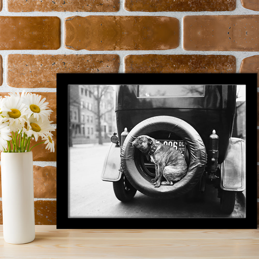 Cute Dog Print Black and White Art Vintage Animal Photo, Framed Art Print Wall Decor