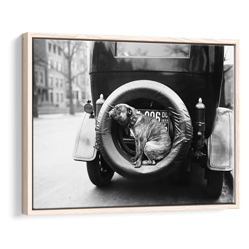 Cute Dog Print Black and White Art Vintage Animal Photo, Floating Framed Canvas Print