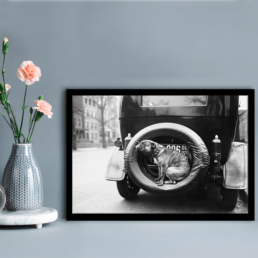 Cute Dog Print Black and White Art Vintage Animal Photo, Framed Art Print Wall Decor