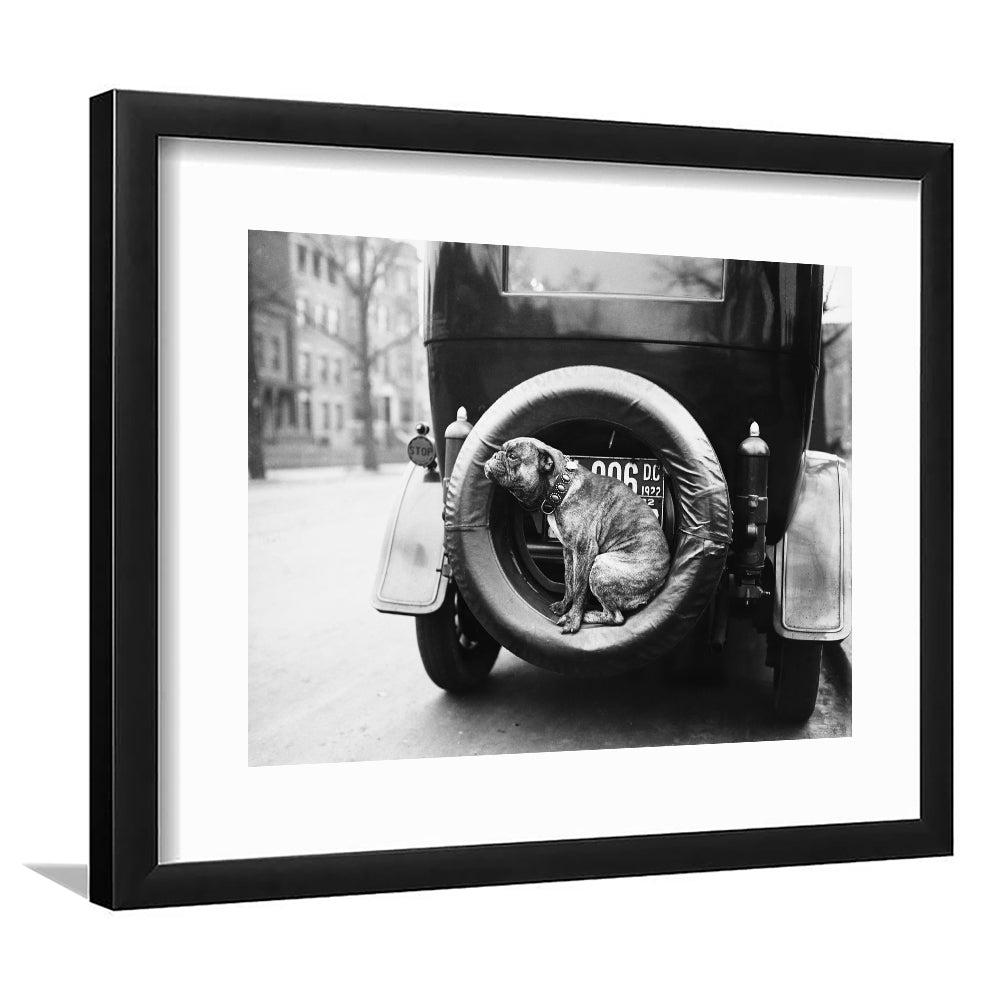 Cute Dog Print Black and White Art Vintage Animal Photo, Framed Art Print White Border Wall Decor
