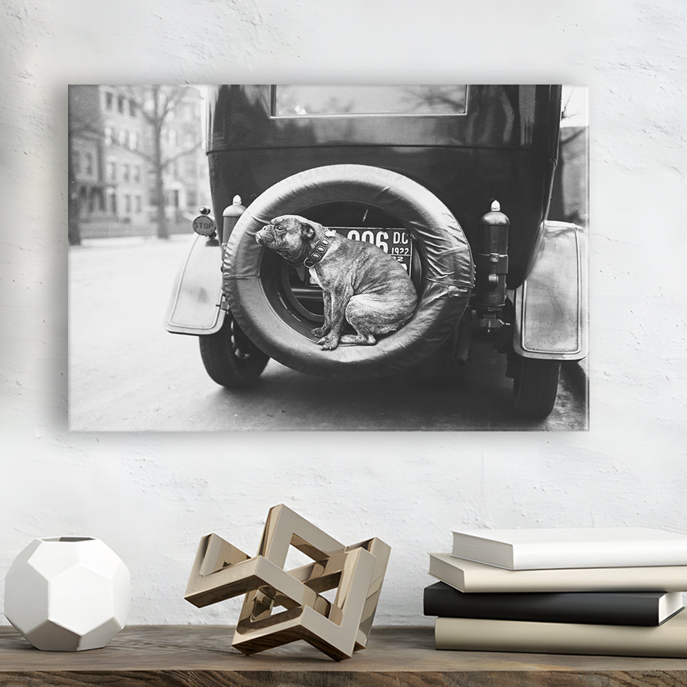 Cute Dog Print Black and White Art Vintage Animal Photo, Canvas Print Wall Art Decor