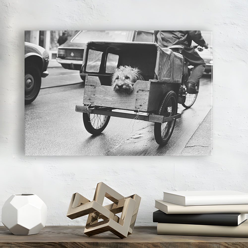 Cute Dog Print Funny Vintage Animal Photo Black and White Art, Canvas Print Wall Art Decor