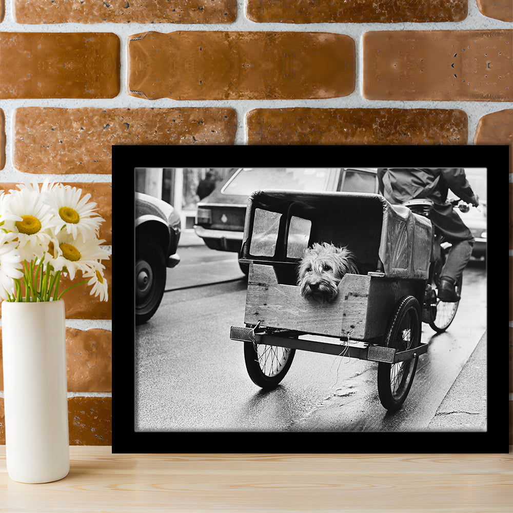 Cute Dog Print Funny Vintage Animal Photo Black and White Art, Framed Art Print Wall Decor