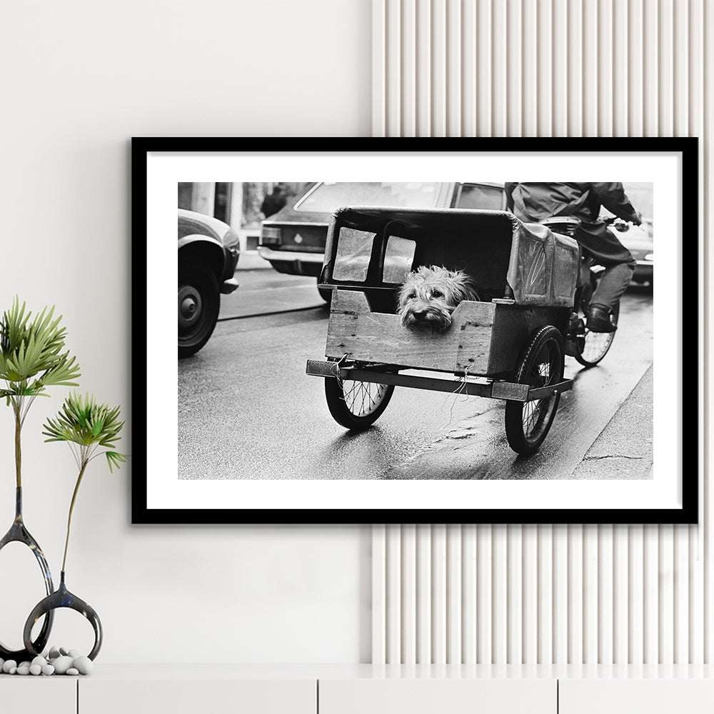 Cute Dog Print Funny Vintage Animal Photo Black and White Art, Framed Art Print White Border Wall Decor