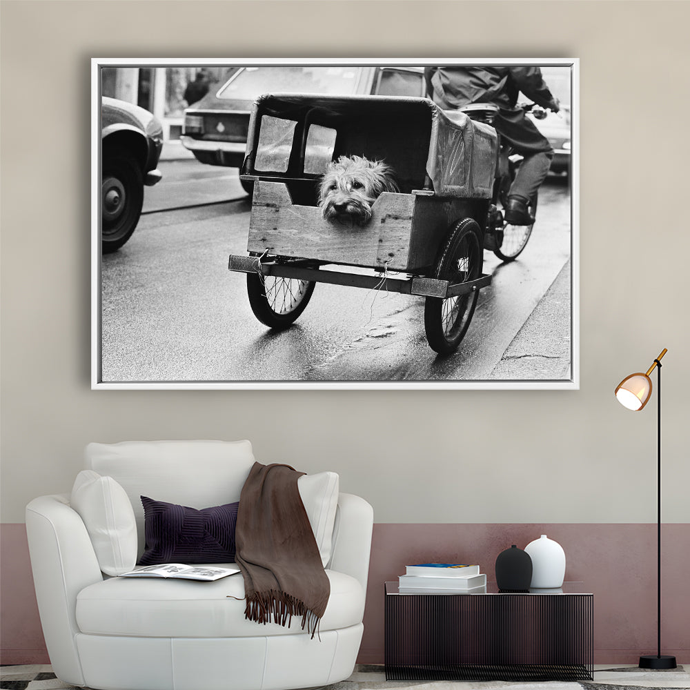 Cute Dog Print Funny Vintage Animal Photo Black and White Art, Floating Framed Canvas Print