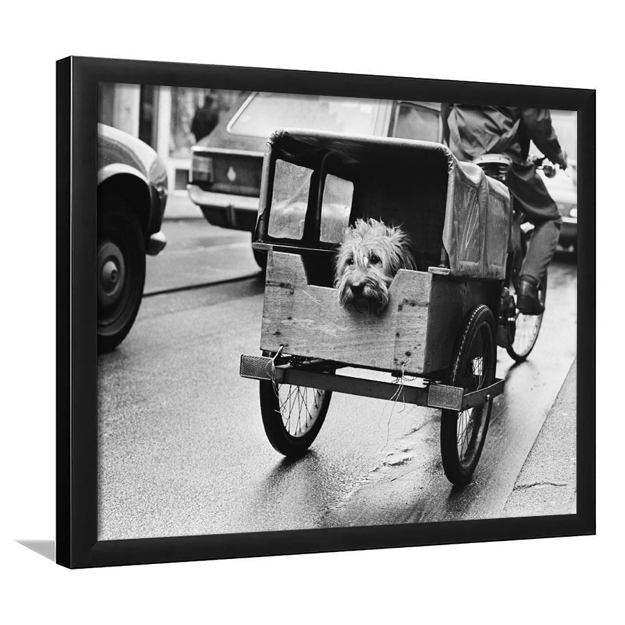 Cute Dog Print Funny Vintage Animal Photo Black and White Art, Framed Art Print Wall Decor