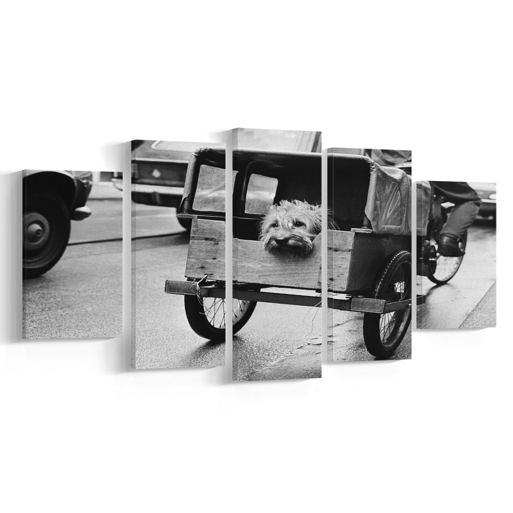 Cute Dog Print Funny Vintage Animal Photo Black and White Art, Mixed 5 Pieces Canvas Print