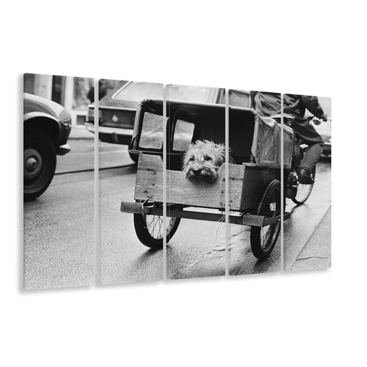Cute Dog Print Funny Vintage Animal Photo Black and White Art, 5 Pieces Large Canvas Print