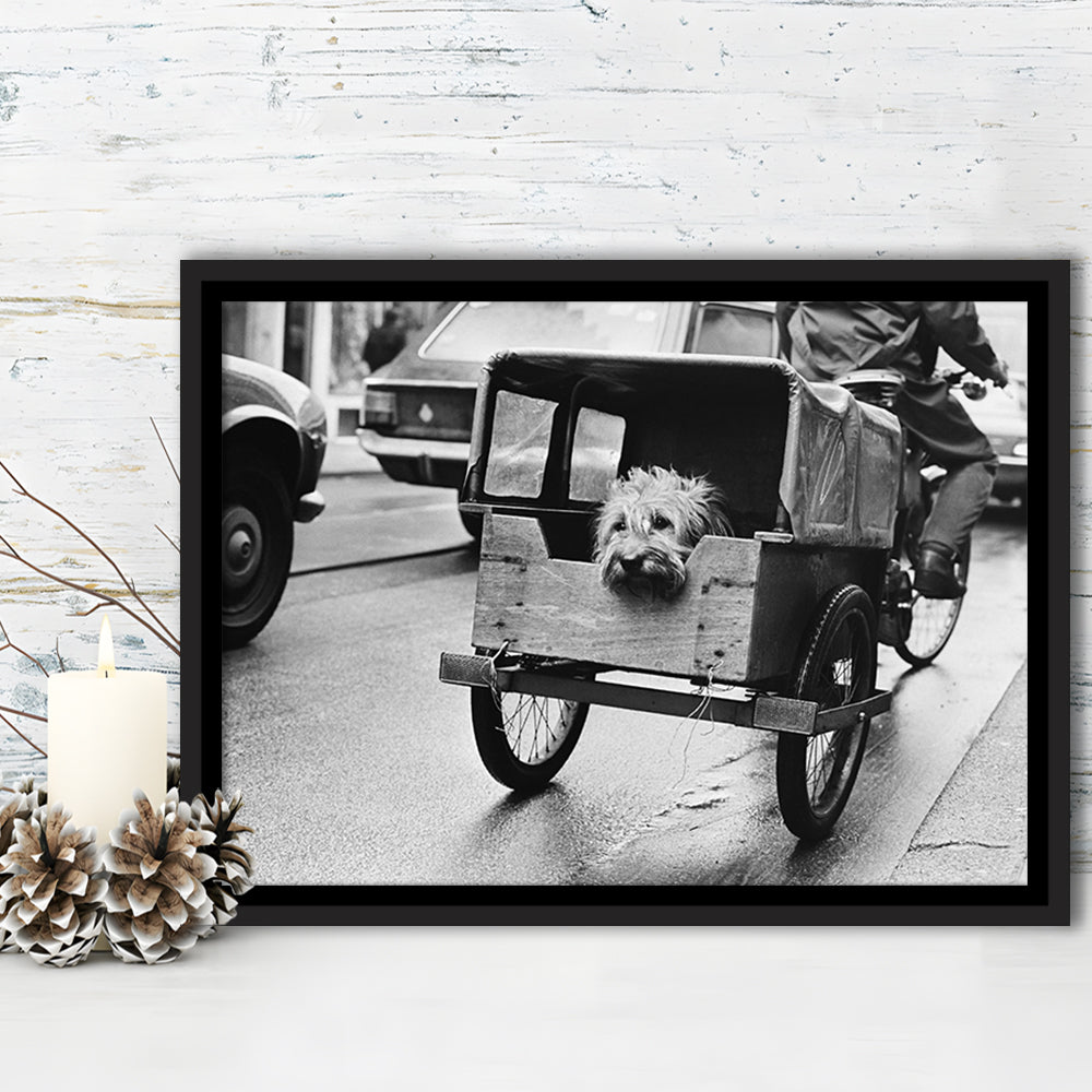 Cute Dog Print Funny Vintage Animal Photo Black and White Art, Floating Framed Canvas Print