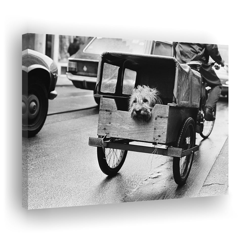 Cute Dog Print Funny Vintage Animal Photo Black and White Art, Canvas Print Wall Art Decor