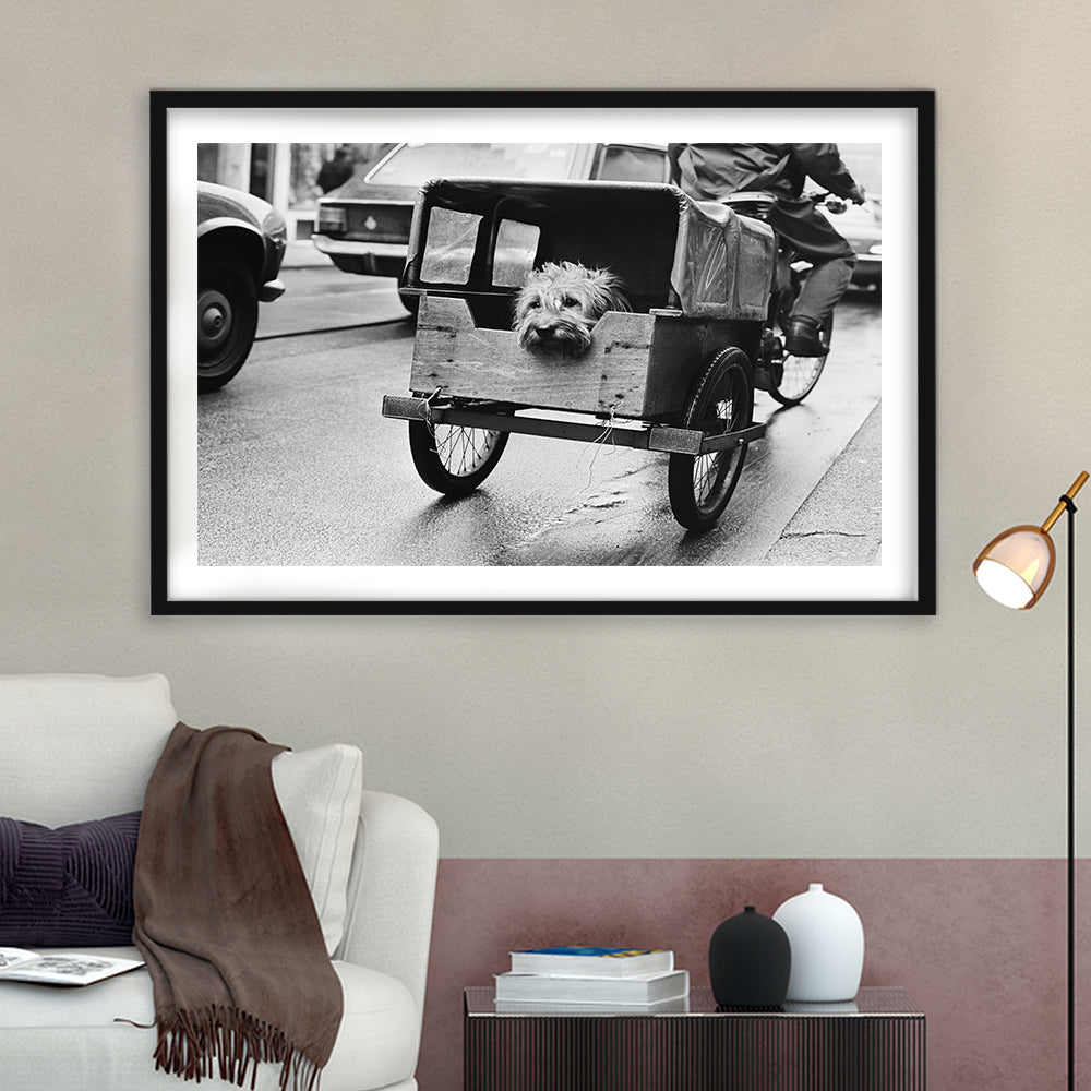 Cute Dog Print Funny Vintage Animal Photo Black and White Art, Framed Art Print White Border Wall Decor
