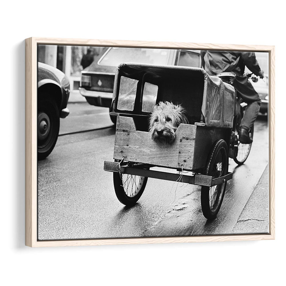 Cute Dog Print Funny Vintage Animal Photo Black and White Art, Floating Framed Canvas Print