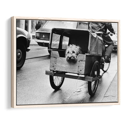 Cute Dog Print Funny Vintage Animal Photo Black and White Art, Floating Framed Canvas Print