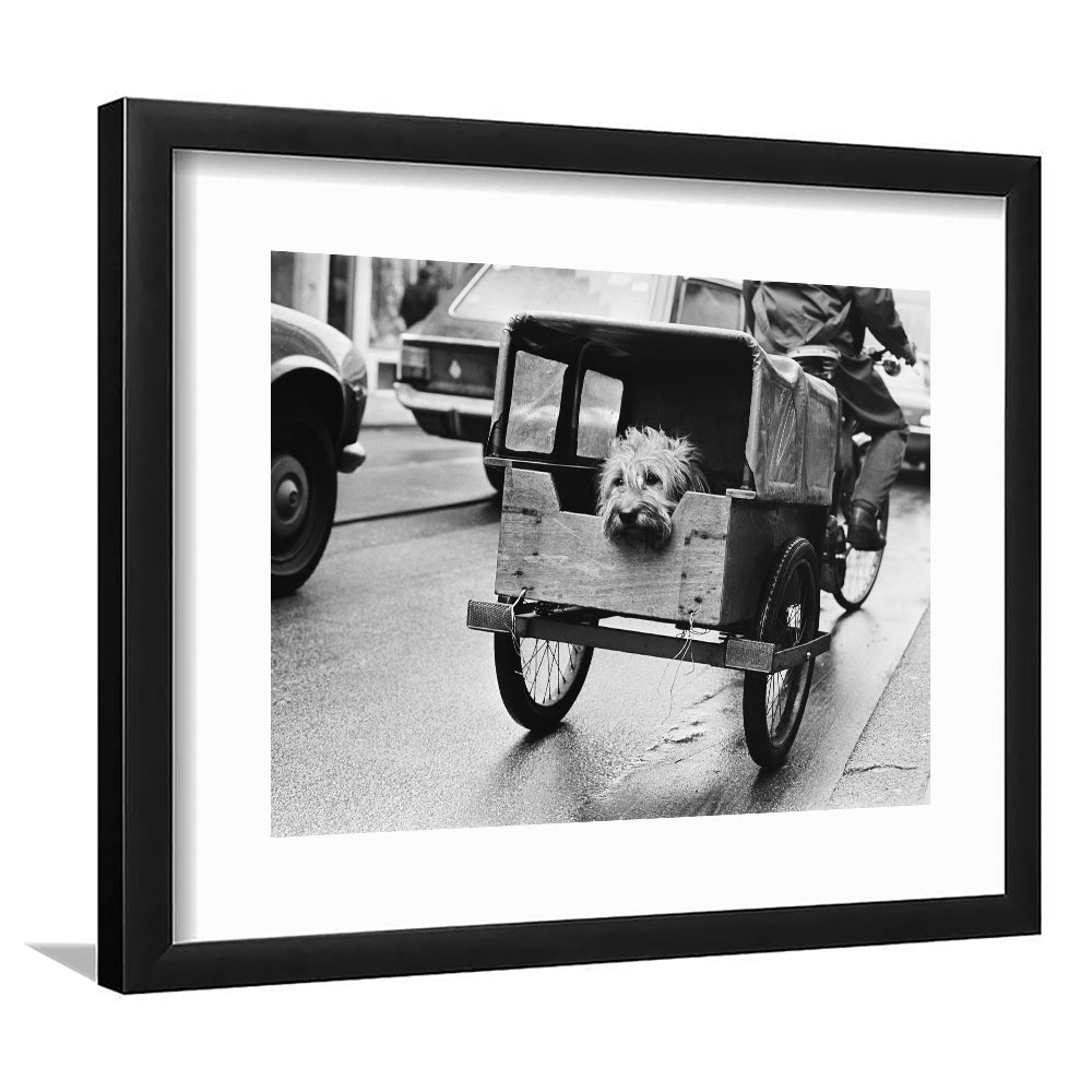 Cute Dog Print Funny Vintage Animal Photo Black and White Art, Framed Art Print White Border Wall Decor