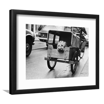 Cute Dog Print Funny Vintage Animal Photo Black and White Art, Framed Art Print White Border Wall Decor