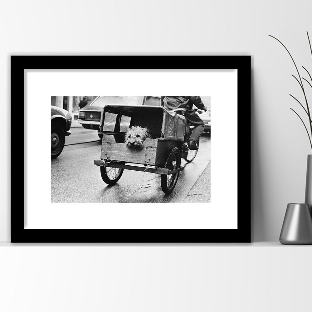 Cute Dog Print Funny Vintage Animal Photo Black and White Art, Framed Art Print White Border Wall Decor