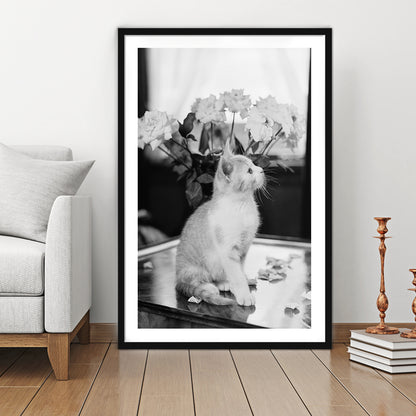 Cute Kitten Print Black and White Art Vintage Animal Photo, Framed Art Print White Border Wall Decor