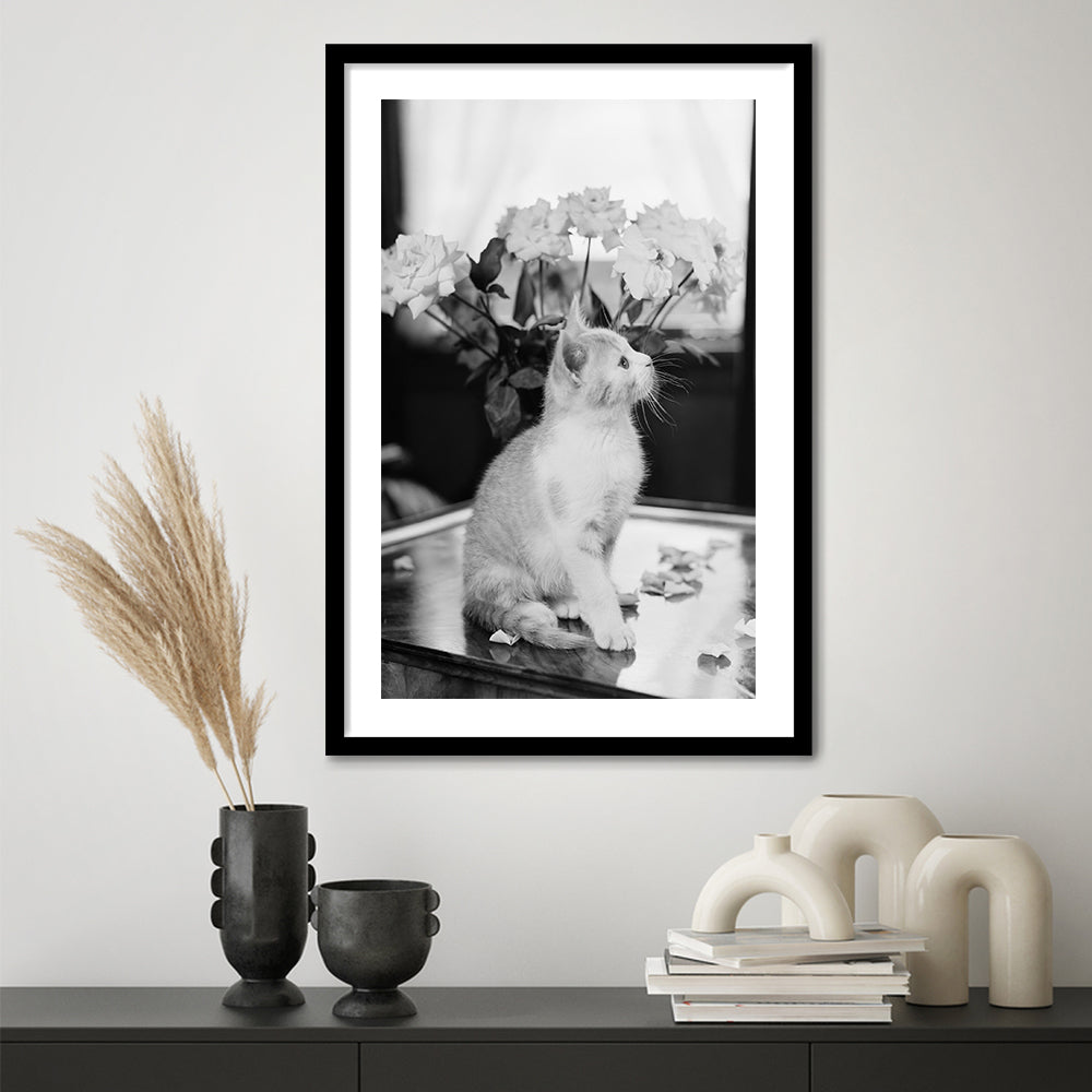 Cute Kitten Print Black and White Art Vintage Animal Photo, Framed Art Print White Border Wall Decor