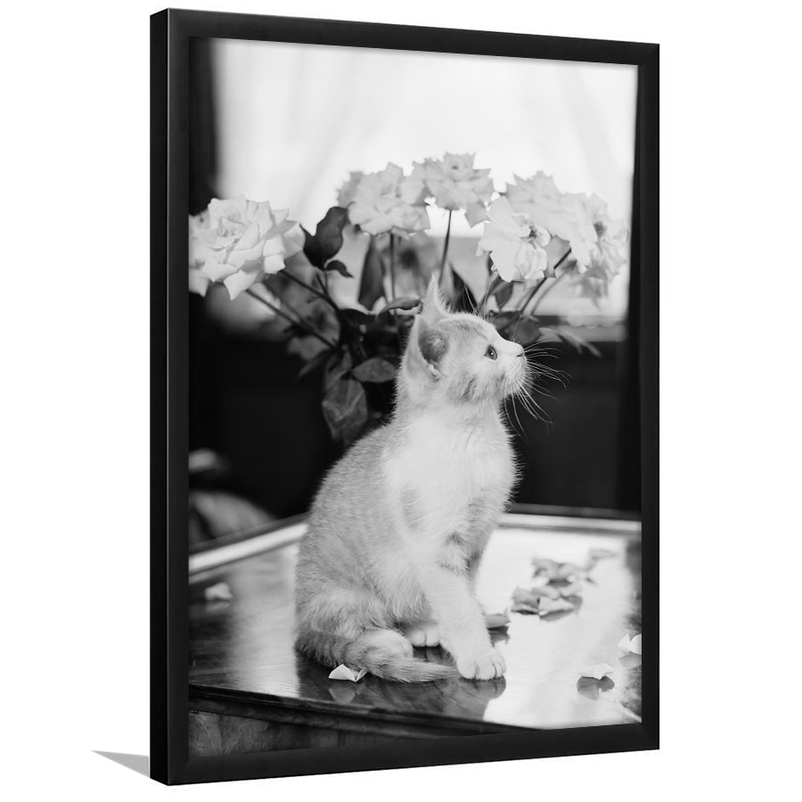Cute Kitten Print Black and White Art Vintage Animal Photo, Framed Art Print Wall Decor