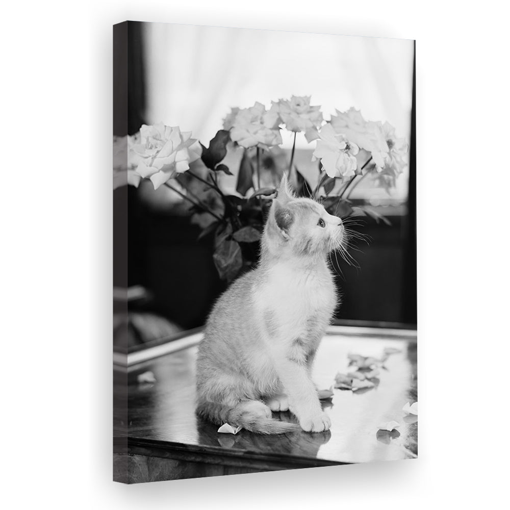 Cute Kitten Print Black and White Art Vintage Animal Photo, Canvas Print Wall Art