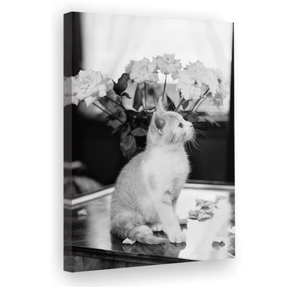 Cute Kitten Print Black and White Art Vintage Animal Photo, Canvas Print Wall Art