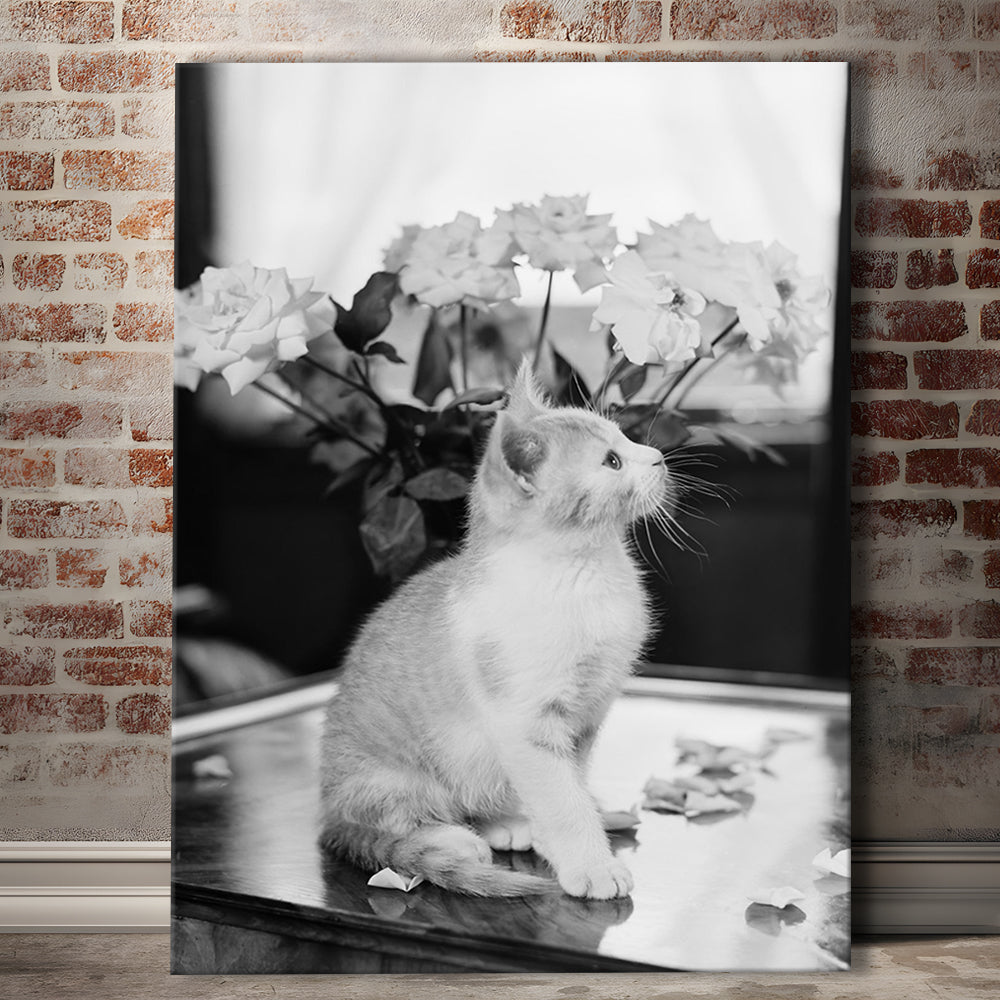 Cute Kitten Print Black and White Art Vintage Animal Photo, Canvas Print Wall Art