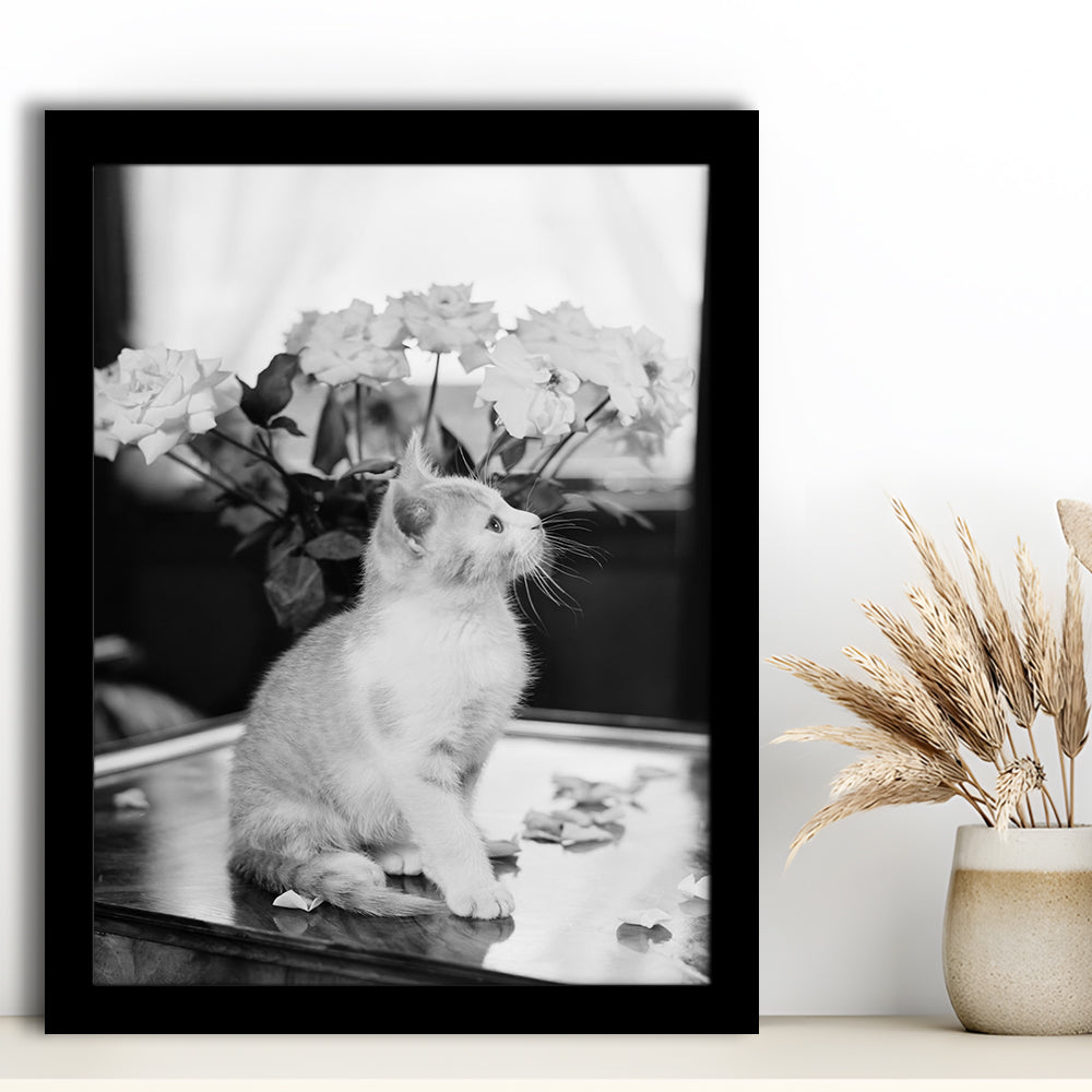 Cute Kitten Print Black and White Art Vintage Animal Photo, Framed Art Print Wall Decor