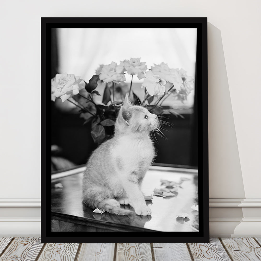 Cute Kitten Print Black and White Art Vintage Animal Photo, Floating Framed Canvas Print