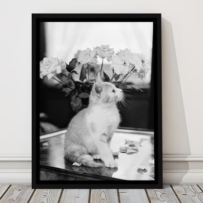 Cute Kitten Print Black and White Art Vintage Animal Photo, Floating Framed Canvas Print