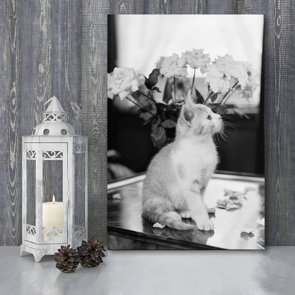 Cute Kitten Print Black and White Art Vintage Animal Photo, Canvas Print Wall Art