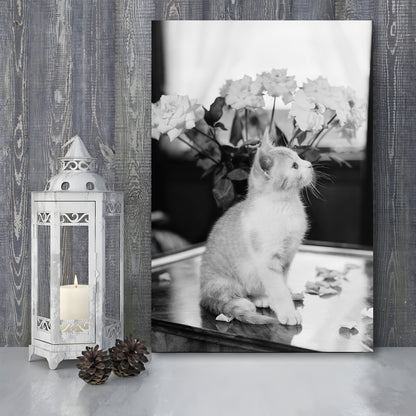 Cute Kitten Print Black and White Art Vintage Animal Photo, Canvas Print Wall Art