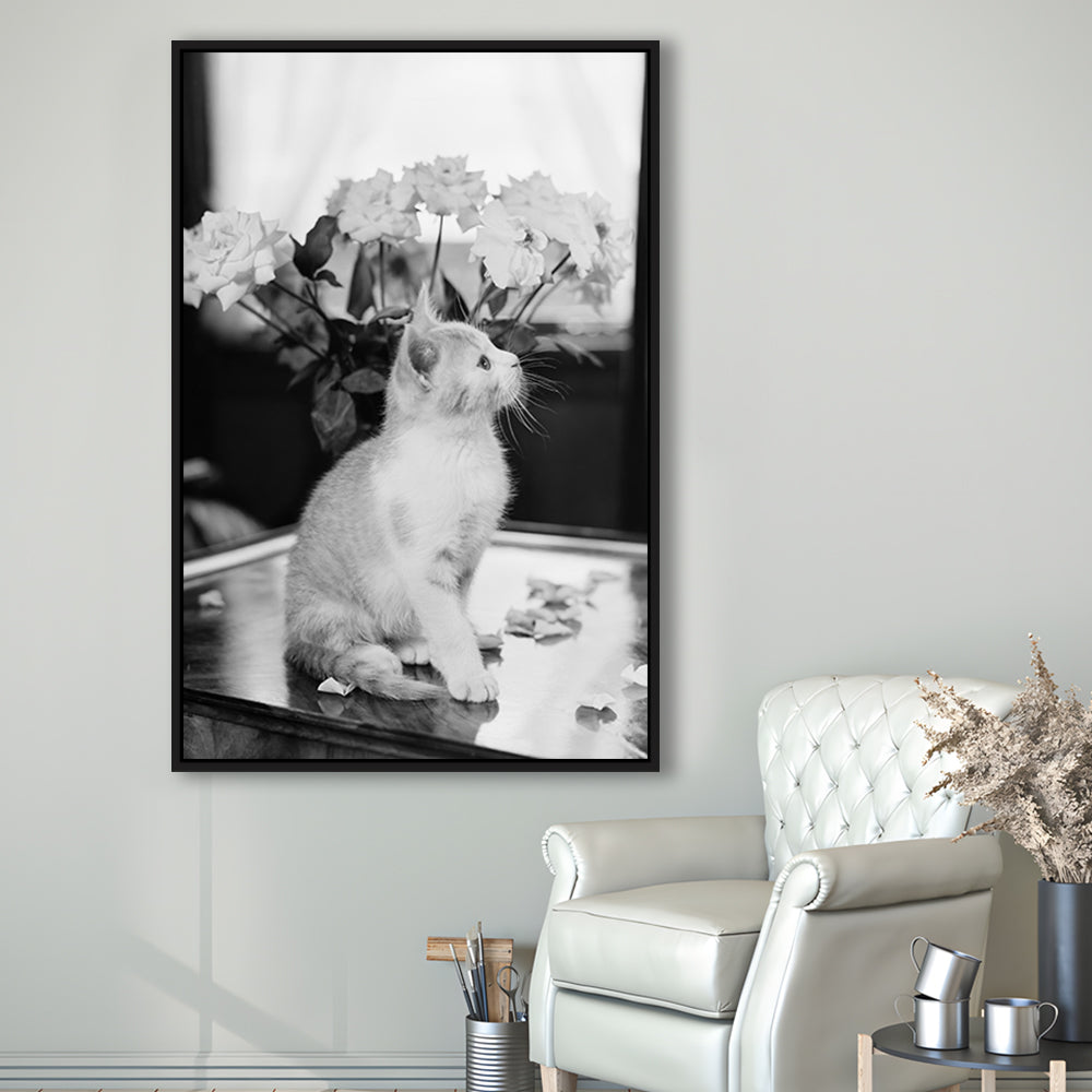 Cute Kitten Print Black and White Art Vintage Animal Photo, Floating Framed Canvas Print
