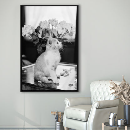 Cute Kitten Print Black and White Art Vintage Animal Photo, Floating Framed Canvas Print