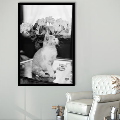 Cute Kitten Print Black and White Art Vintage Animal Photo, Framed Art Print Wall Decor