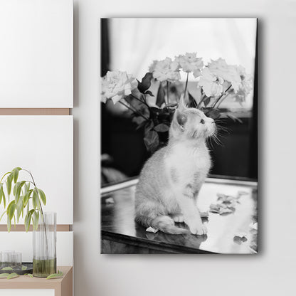 Cute Kitten Print Black and White Art Vintage Animal Photo, Canvas Print Wall Art