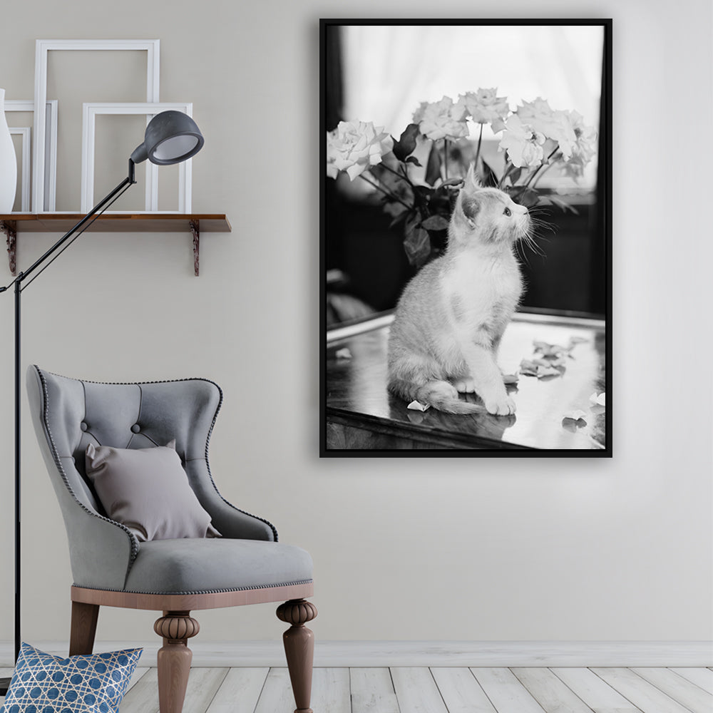Cute Kitten Print Black and White Art Vintage Animal Photo, Floating Framed Canvas Print