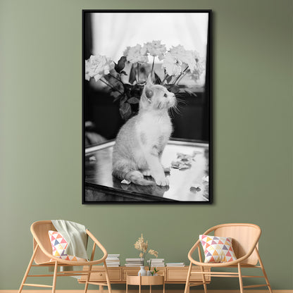 Cute Kitten Print Black and White Art Vintage Animal Photo, Floating Framed Canvas Print
