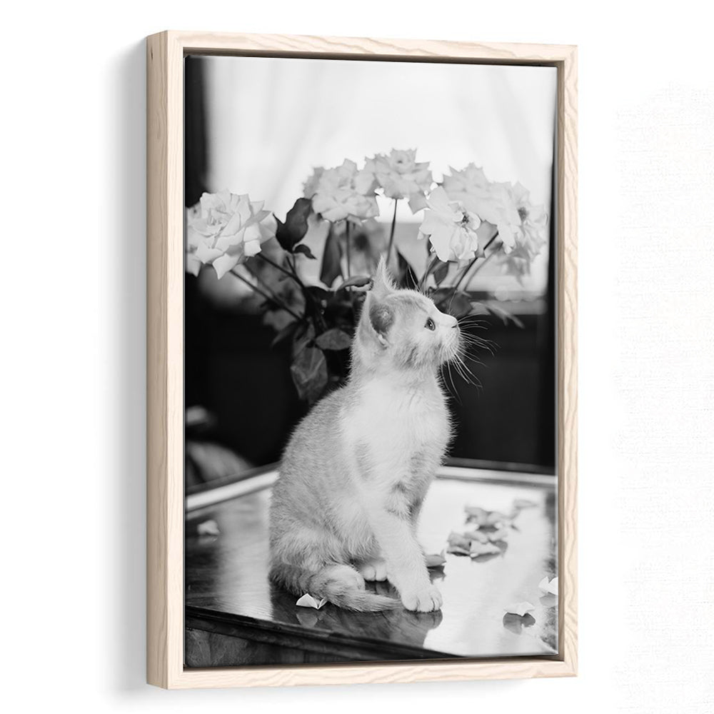Cute Kitten Print Black and White Art Vintage Animal Photo, Floating Framed Canvas Print