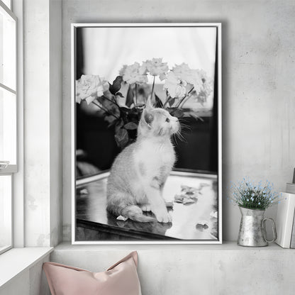 Cute Kitten Print Black and White Art Vintage Animal Photo, Floating Framed Canvas Print